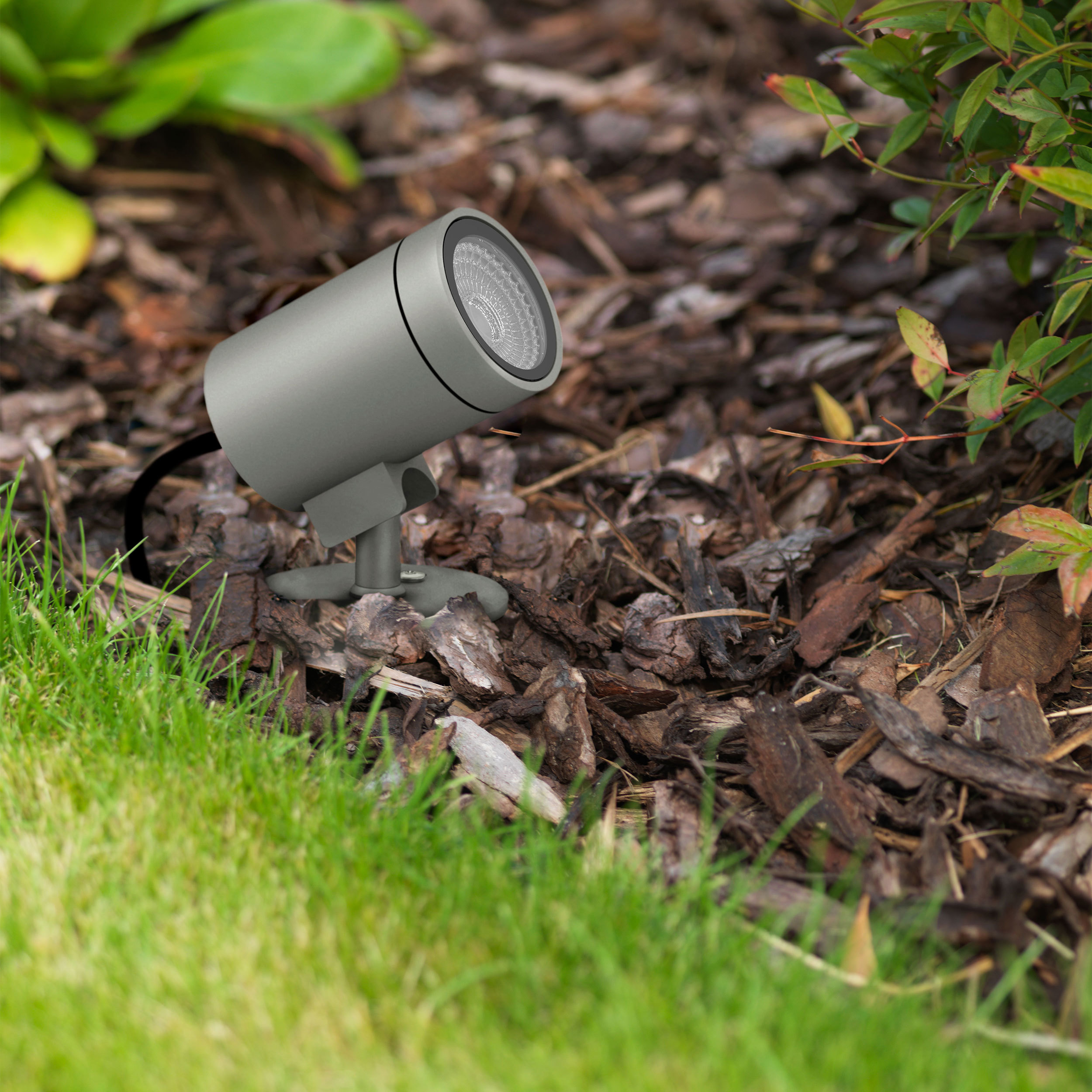 Bayville Spike Spot 12V