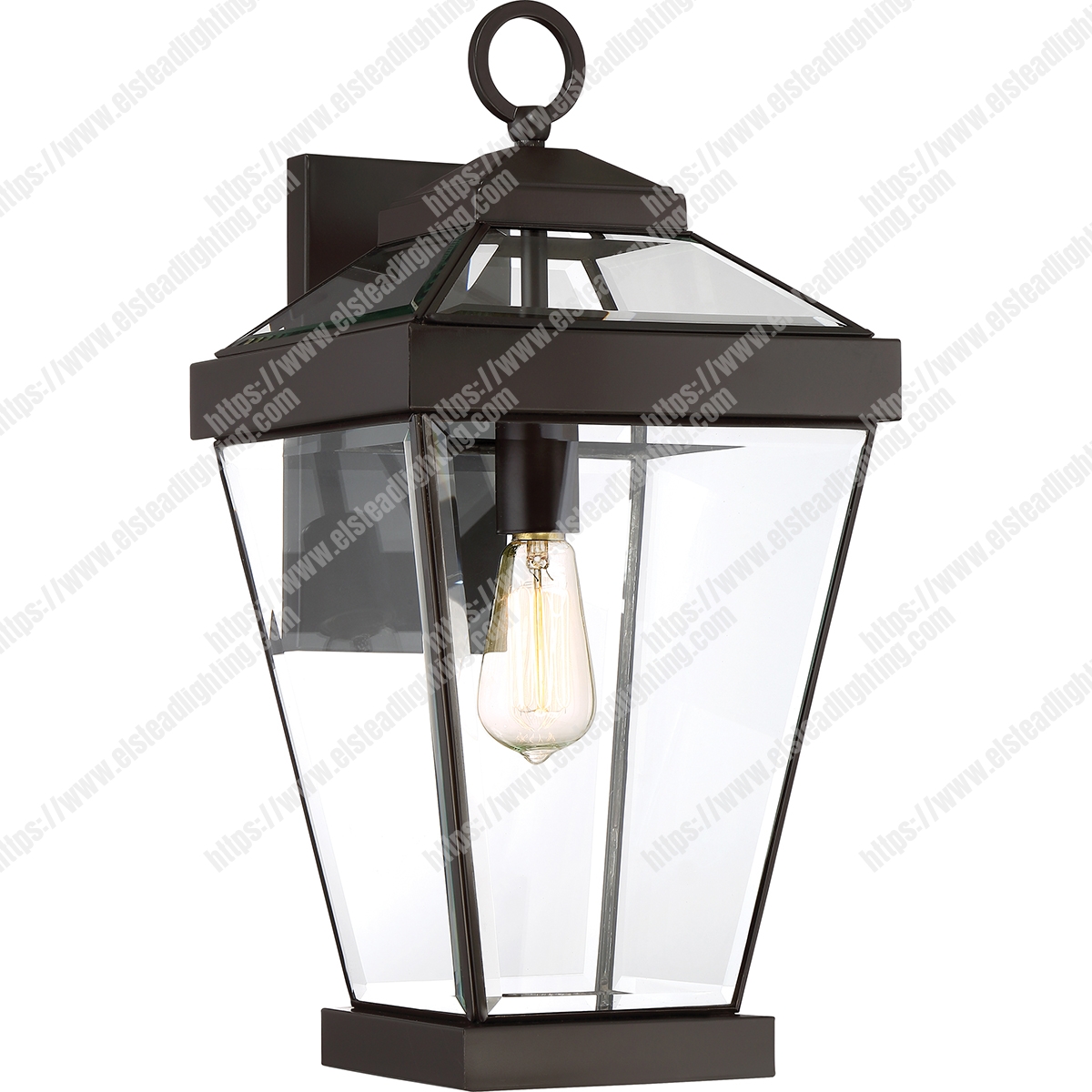 Ravine 1 Light Large Wall Lantern