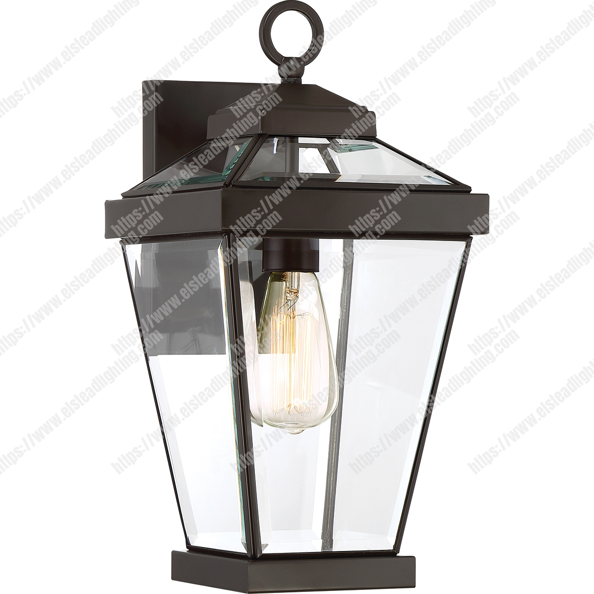 Ravine 1 Light Medium Wall Lantern