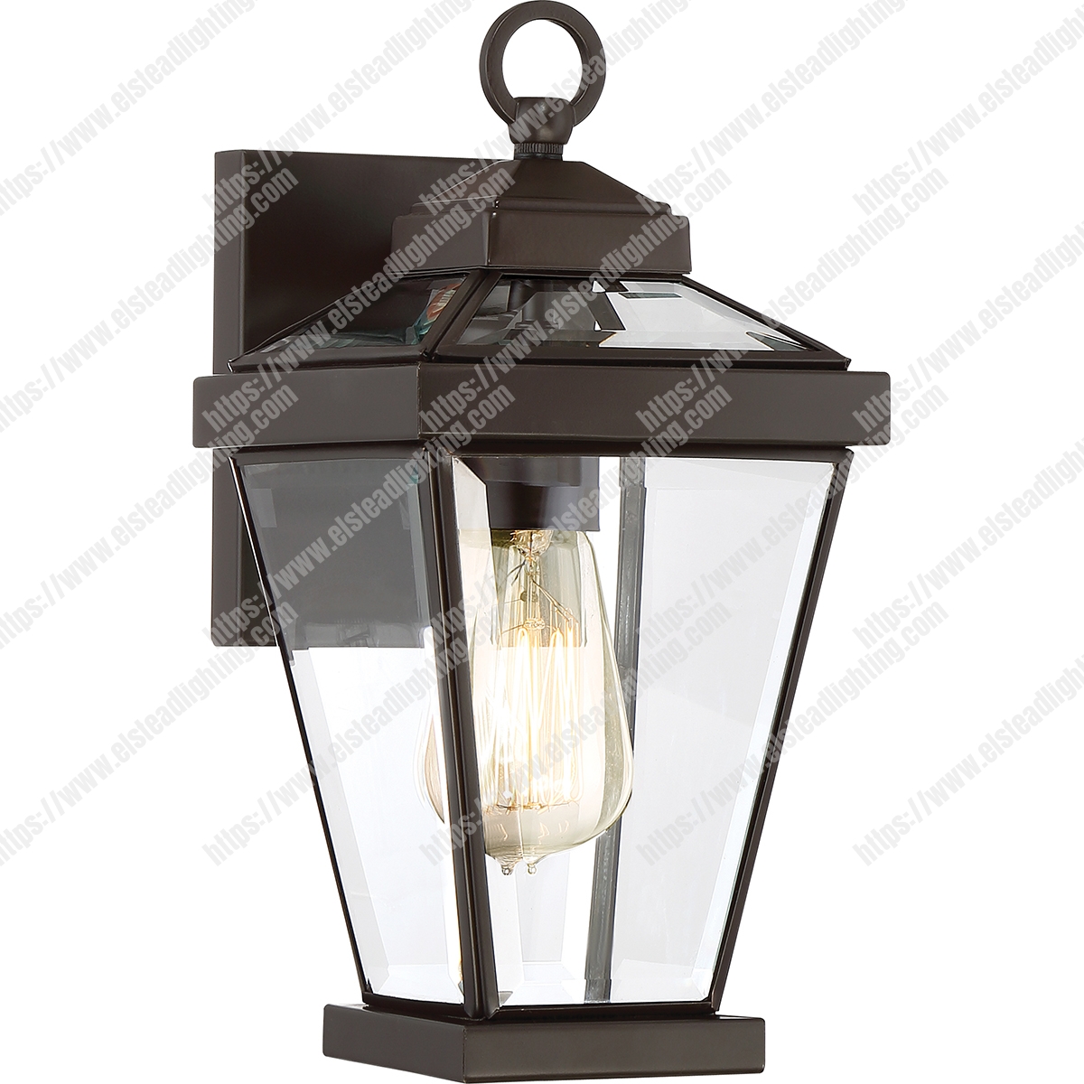 Ravine 1 Light Small Wall Lantern