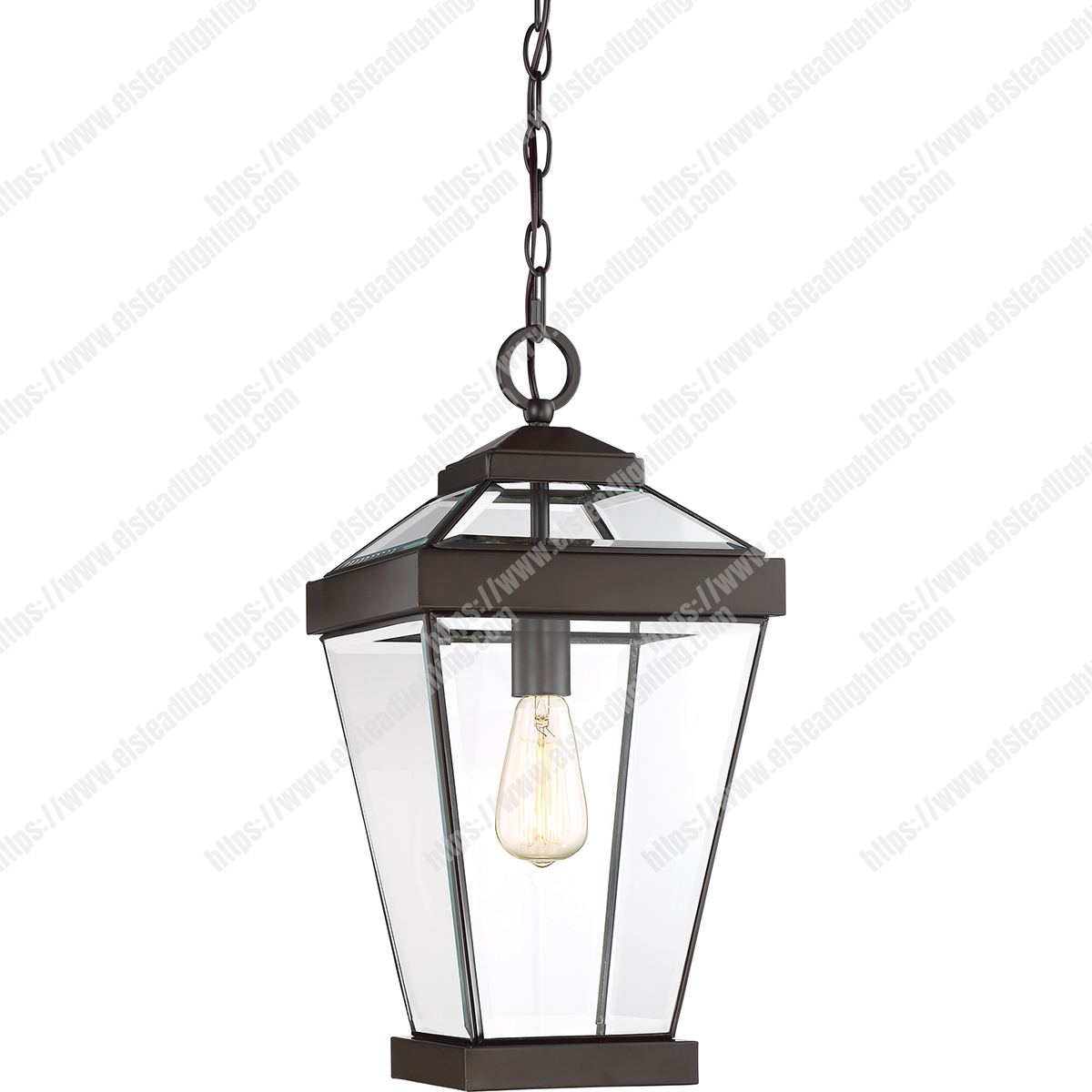 Ravine 1 Light Large Chain Lantern