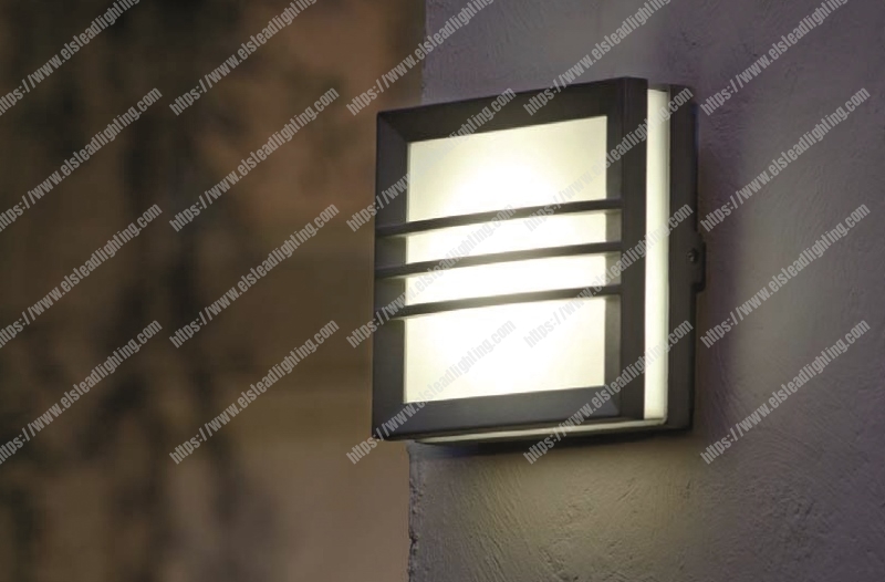 Egil 1 Light Wall/Ceiling Lantern