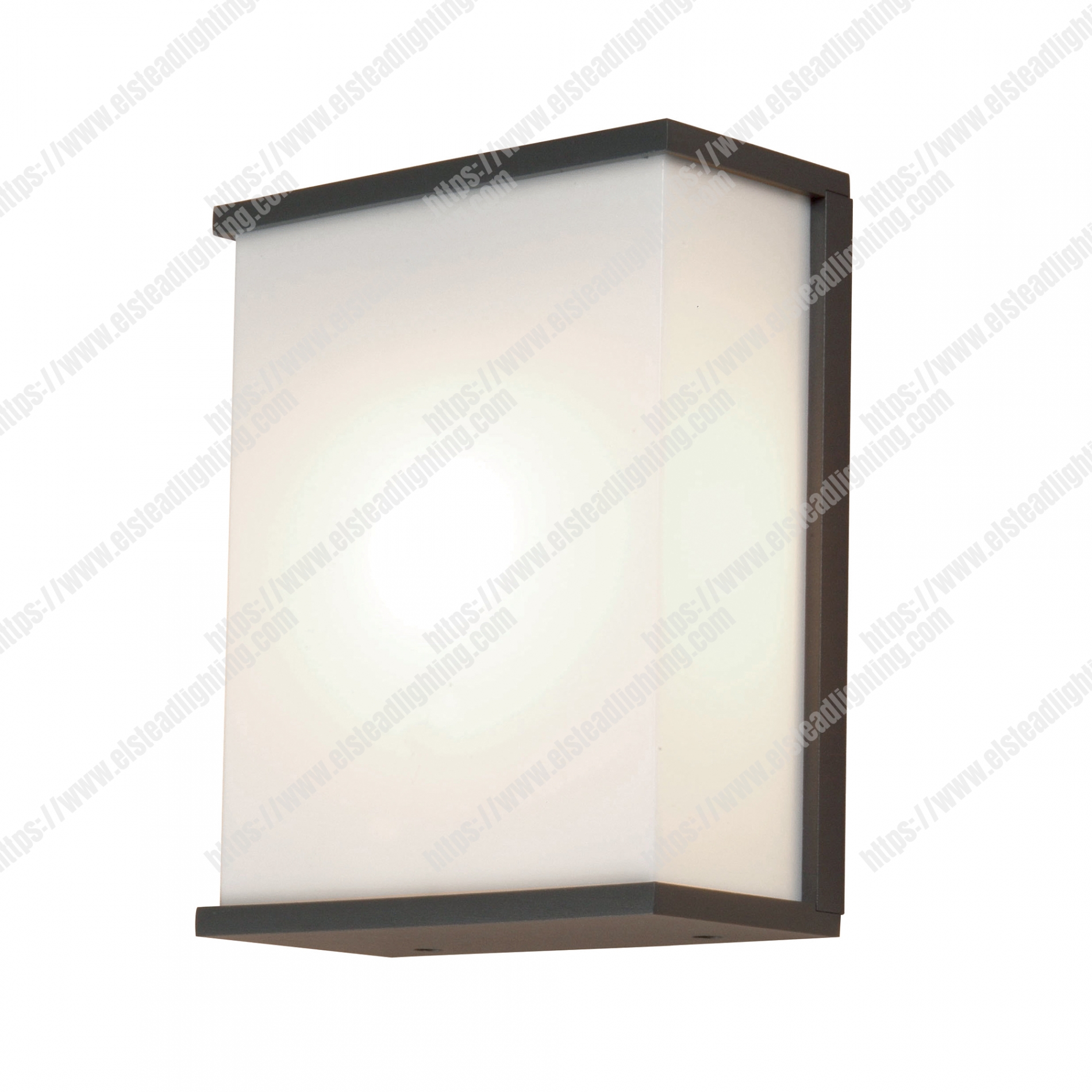 Torsten 2 Light Large Wall Light