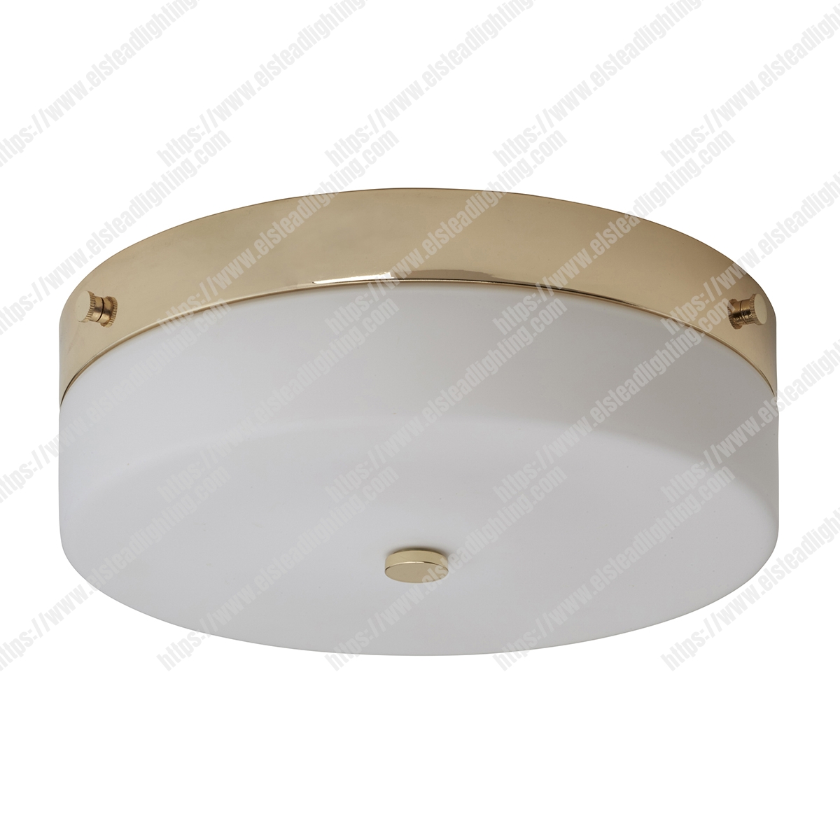 Tamar 1 Light Large Flush Light - Polished Gold