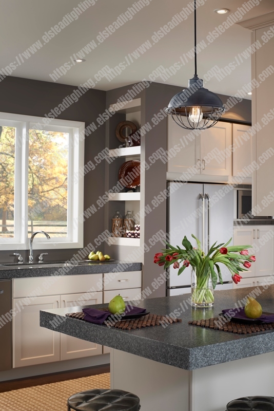 Urban Renewal  1 Light Pendant - Antique Forged Iron