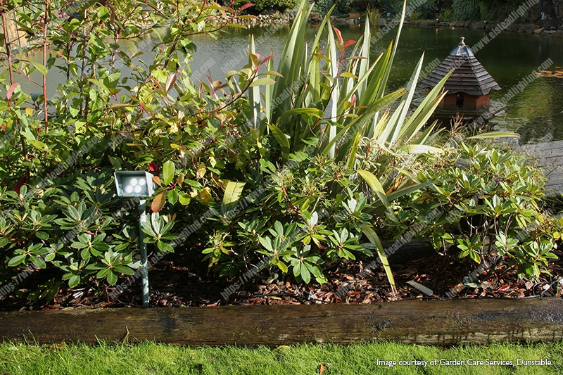 Bronze Floodlight Fitting - Verdigris