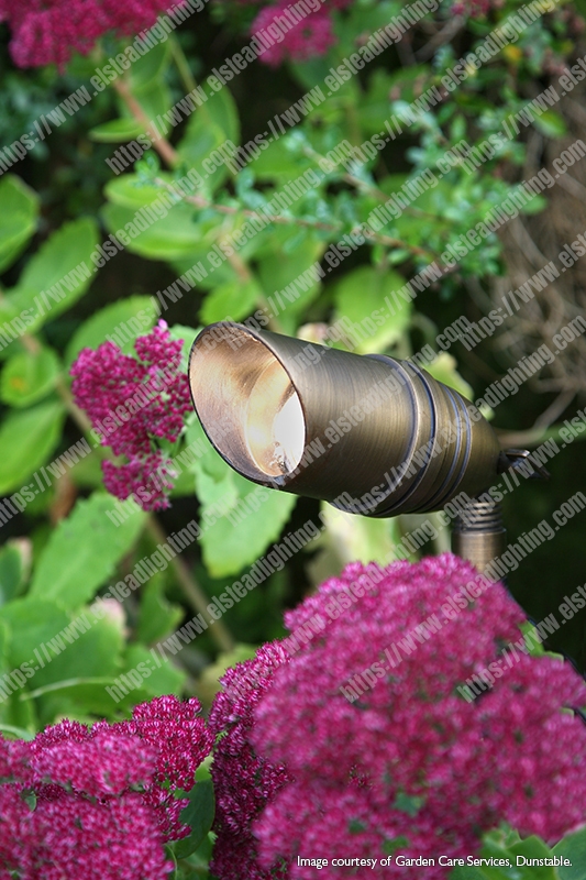 Bronze Spike Fitting - Aged brass