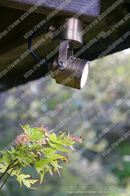 Elite Spotlight Wall Fitting - Solid Natural Brass