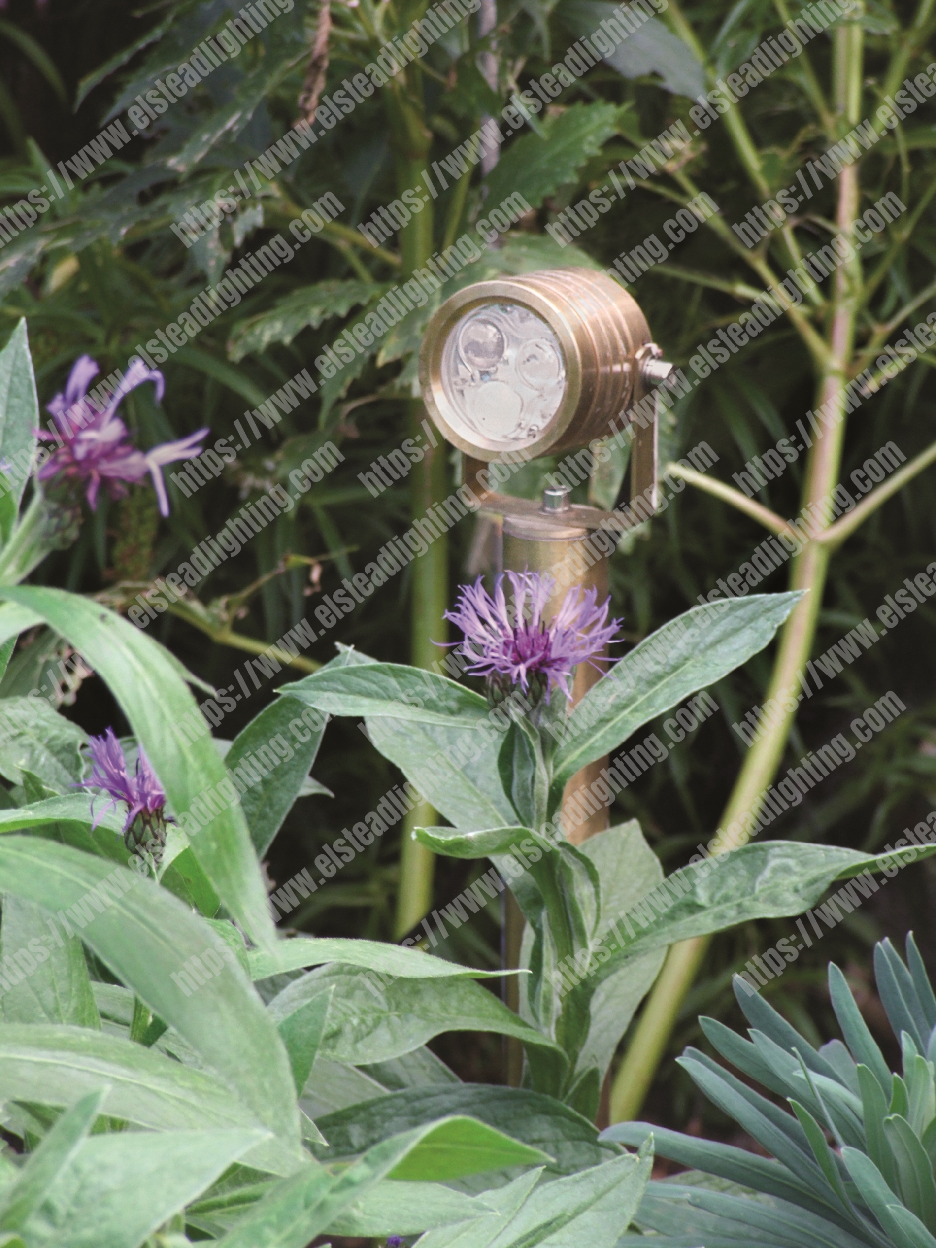 Elite Spotlight Wall Fitting - Natural Brass