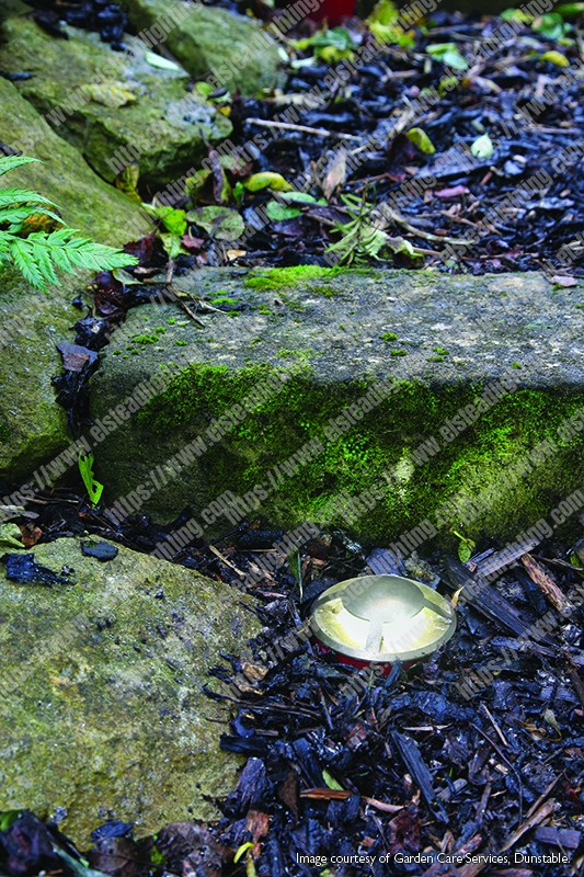 Fusion 4 Direction Ring In-Ground Light - Stainless Steel