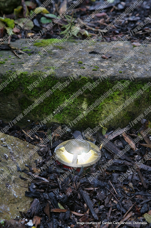 Fusion 4 Direction Ring In-Ground Light - Stainless Steel