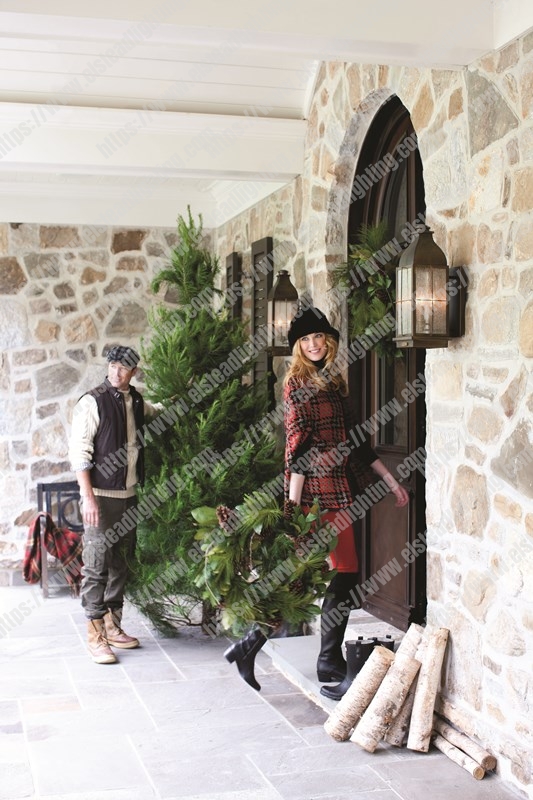 Bingham 3 Light Medium Wall Lantern