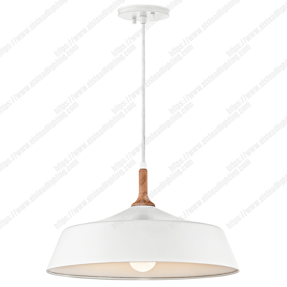 Danika 1 Light Pendant