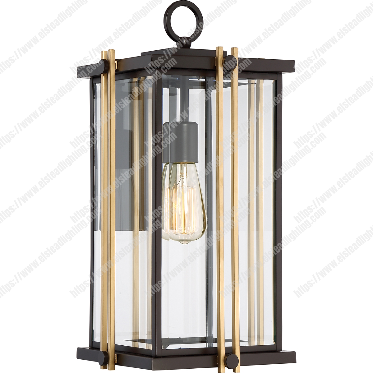 Goldenrod 1 Light Large Wall Lantern